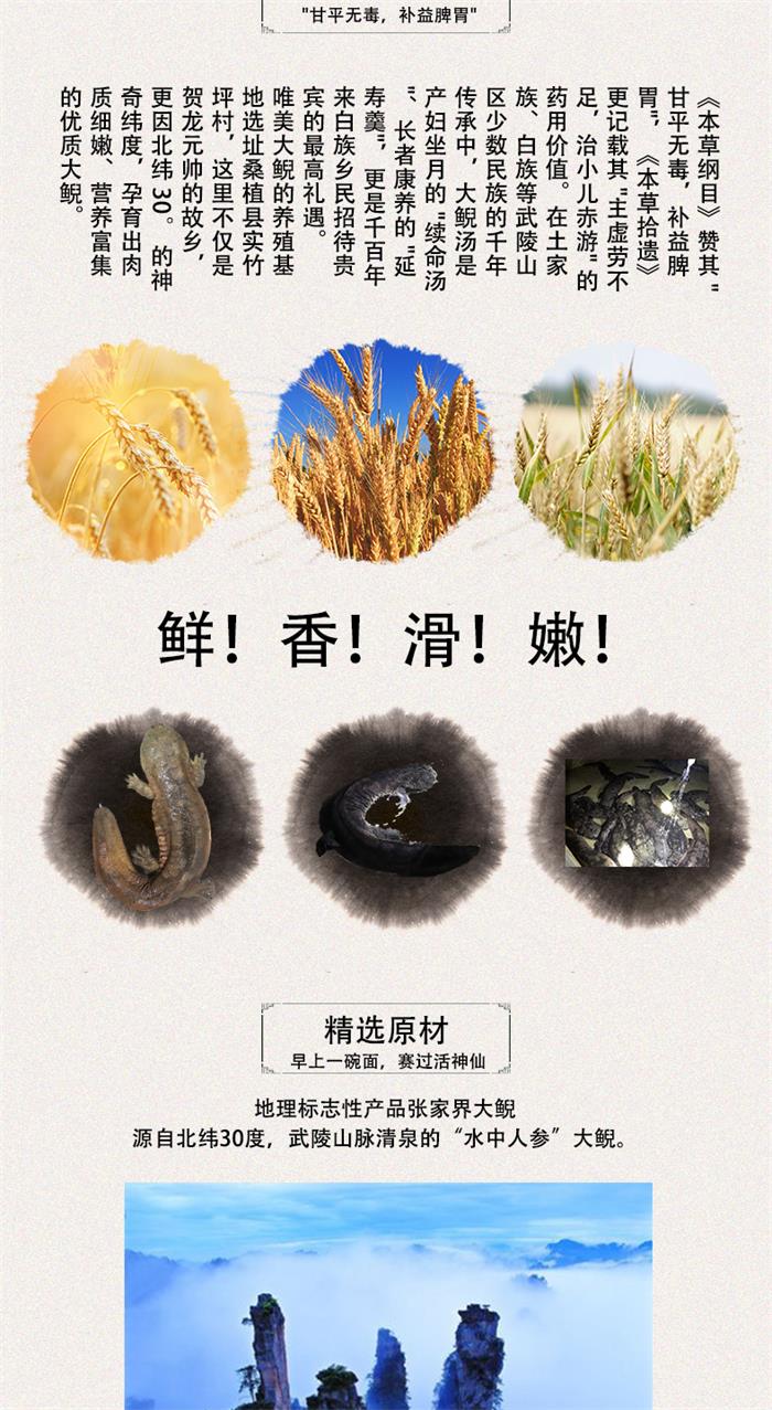 c505601eab9fafc6aa56952a681a054c_04.jpg
