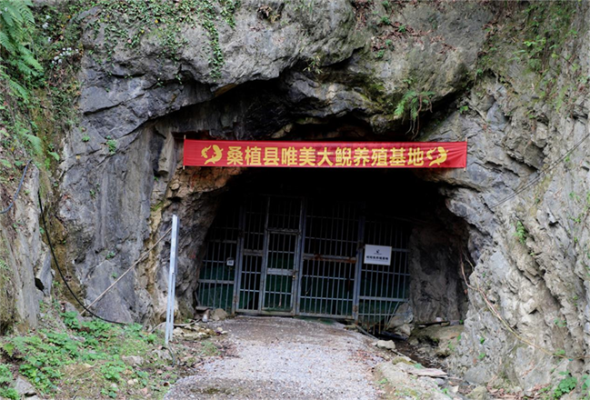 图片26.png